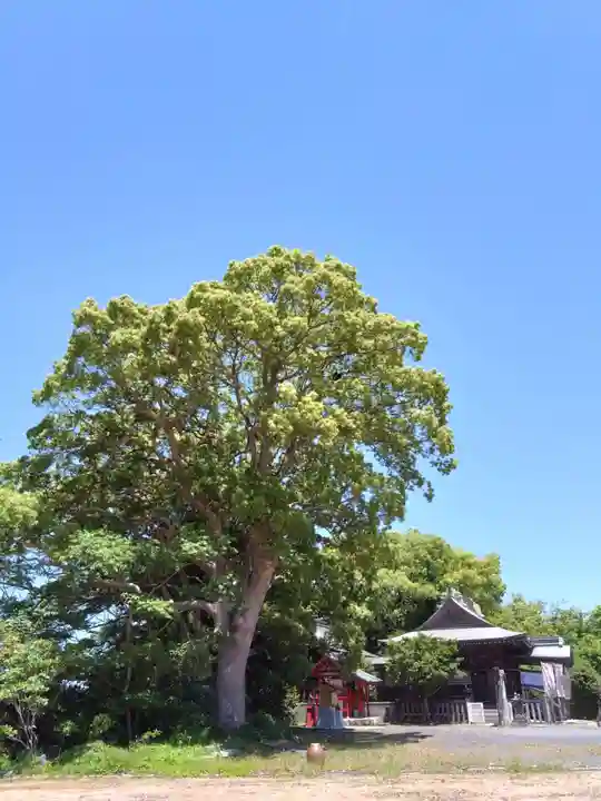 妙見神社の自然