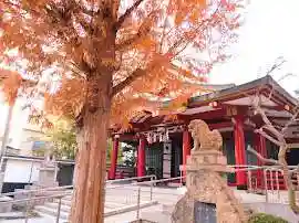 二宮神社の本殿・本堂