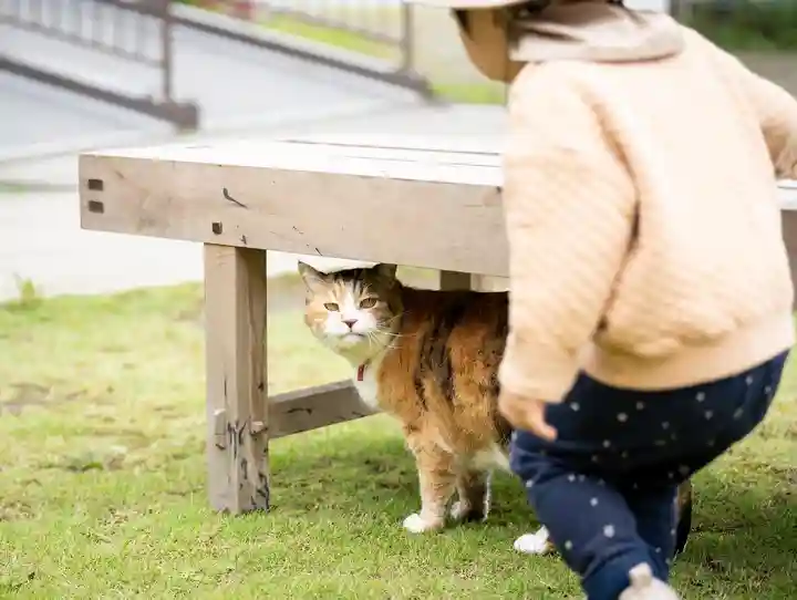 秩父札所十三番 慈眼寺の動物