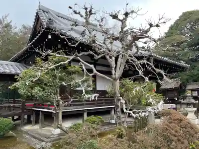 理性院(京都府)