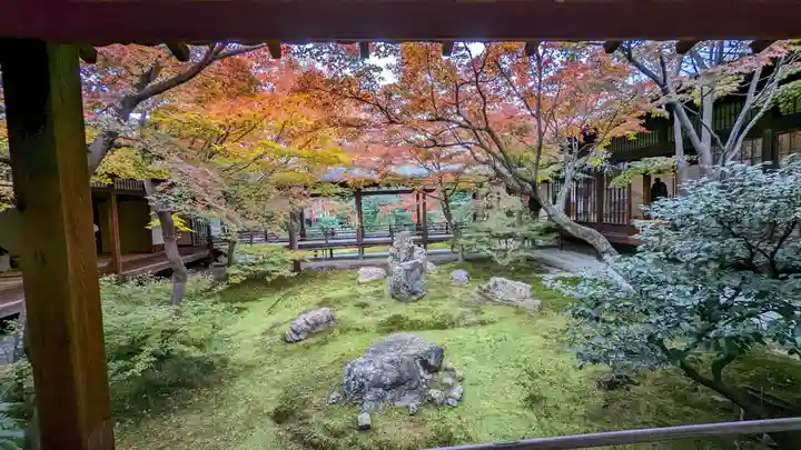 建仁寺(建仁禅寺)(京都府)