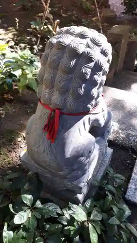 田無神社の狛犬