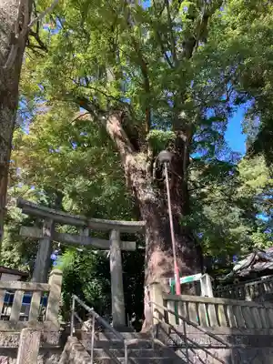 五所神社(神奈川県)
