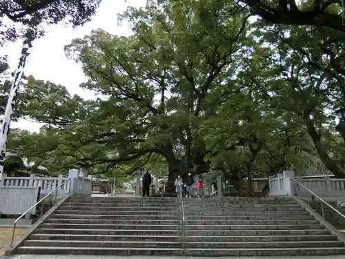 大麻比古神社の建物その他