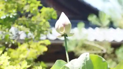 法音院(京都府)