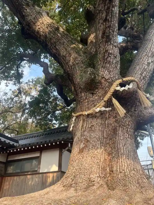 阿保神社(大阪府)