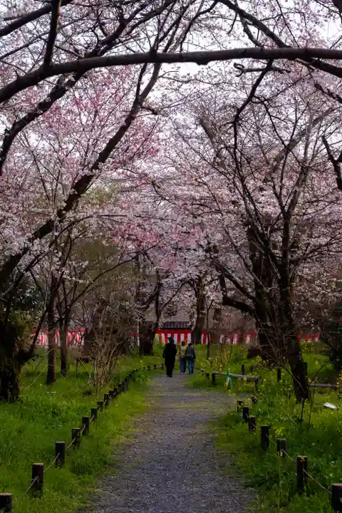 平野神社(京都府)