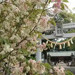 上地八幡宮の鳥居