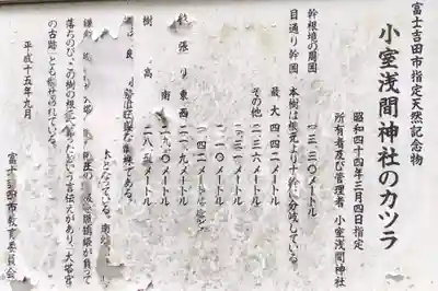 小室浅間神社の歴史