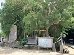 自凝島神社の自然