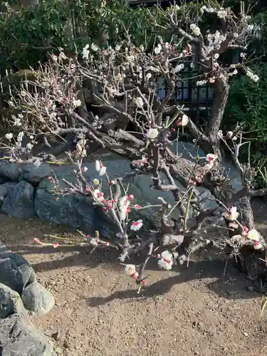 日蓮宗龍口山本龍寺(神奈川県)