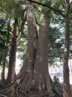 皇産霊神社(千葉県)