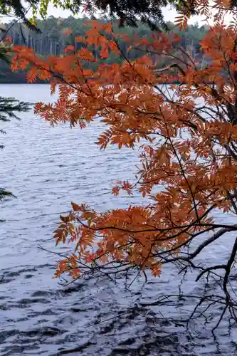 大瀧神社(長野県)