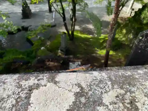 古峯神社のその他建物