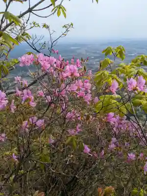 妙義神社 奥の院(群馬県)