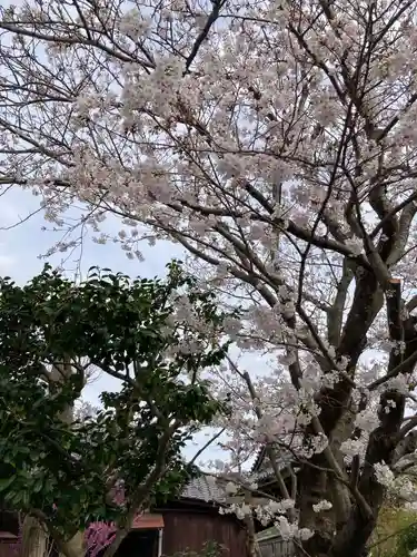 本覚寺(神奈川県)