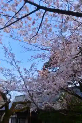 靖國神社(東京都)
