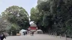 賀茂御祖神社（下鴨神社）(京都府)