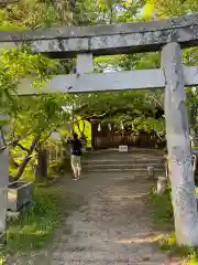 新城神社(長野県)