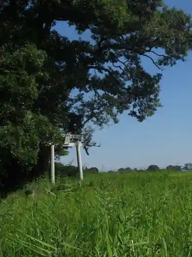 神明神社(千葉県)