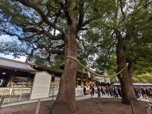 明治神宮(東京都)