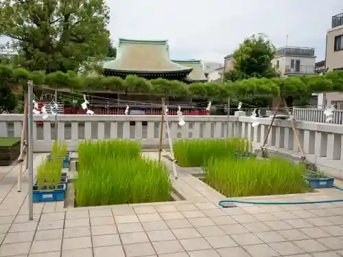 東京羽田 穴守稲荷神社(東京都)