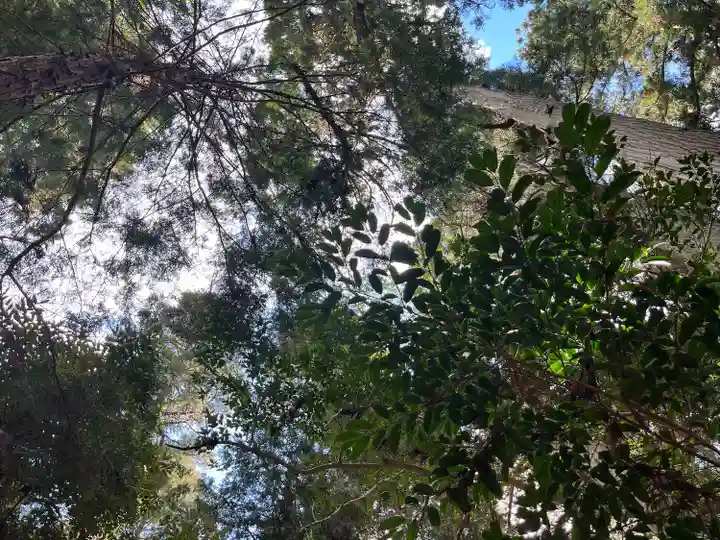 日吉神社(千葉県)
