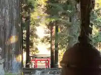 大宮温泉神社(栃木県)