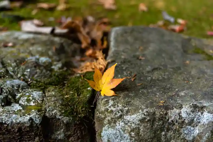 大矢田神社(岐阜県)