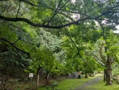金剛院(京都府)