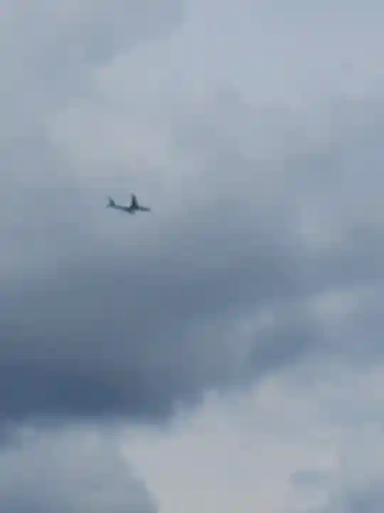 東本願寺本廟 牛久浄苑(牛久大仏)(茨城県)