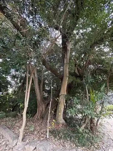 道明寺天満宮(大阪府)