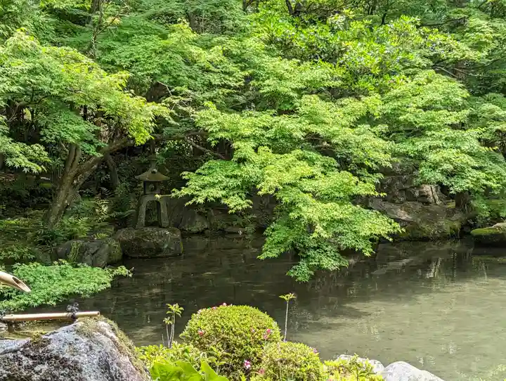 蓮華寺(洛北蓮華寺)(京都府)