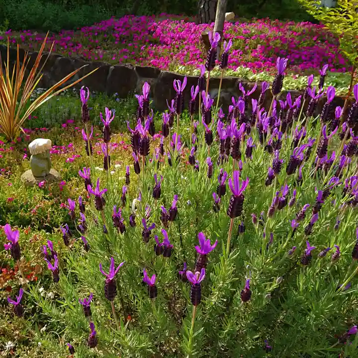 寿量山 速成寺の庭園