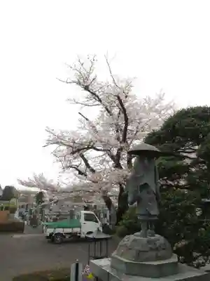 真光寺(千葉県)