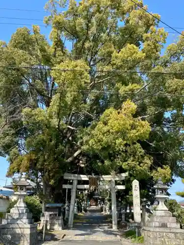 玉田神社の自然