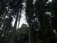 大宮温泉神社(栃木県)