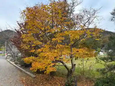 宇良神社(浦嶋神社)(京都府)