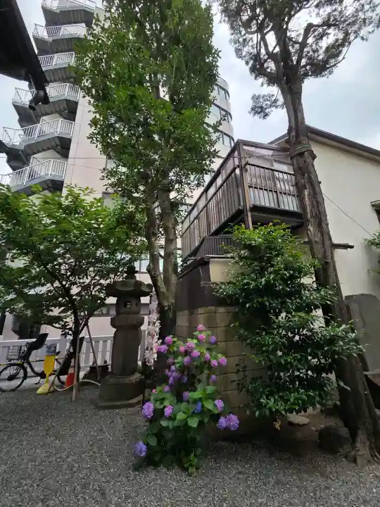 櫻木神社(東京都)
