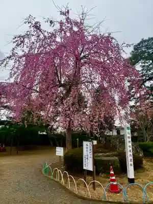 竹駒神社の{uncategorized: "未分類", other: "その他", undefined: "問題あり", building: "その他建物", grave: "お墓", sacred_gate: "鳥居", guardian: "狛犬", statue: "像", buddha: "仏像", history: "歴史", nature: "自然", garden: "庭園", animal: "動物", pagoda: "塔", temizu: "手水舎", mountain_gate: "山門・神門", sanctuary: "本殿・本堂", subordinate: "末社・摂社", art: "芸術", scenery: "景色", jizo: "地蔵", ema: "絵馬", goshuin: "御朱印", omikuji: "おみくじ", items: "授与品その他", amulet: "お守り", goshuincho: "御朱印帳", eats: "食事", festival: "お祭り", votive_dance: "神楽", shichigosan: "七五三参", wedding: "結婚式", experience: "体験その他", initially: "初詣", around: "周辺", anti_infection: "感染症対策"}