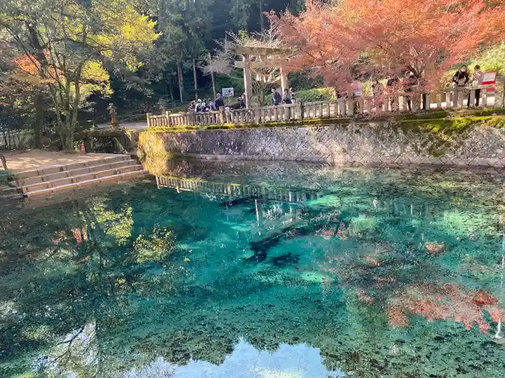 嚴島神社(山口県)