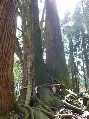 貴船神社の自然