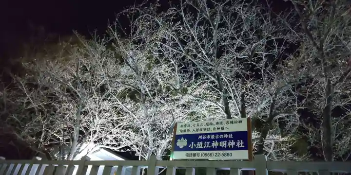 小垣江神明神社の自然