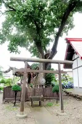 一本栗地主神社(北海道)