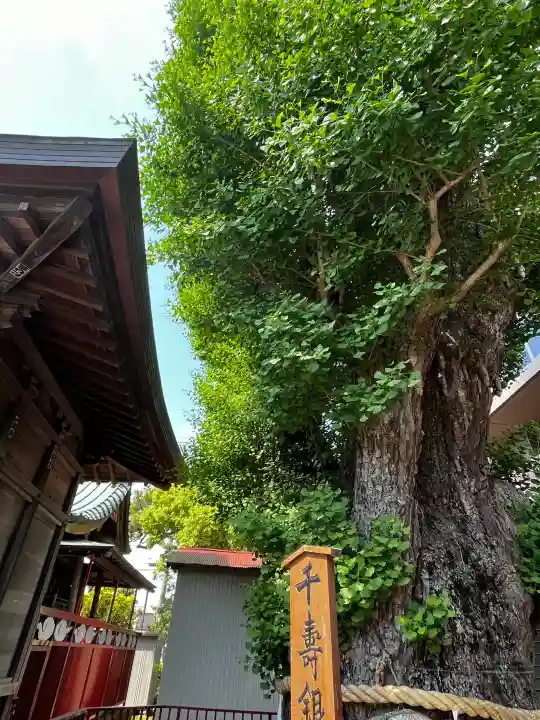 押切稲荷神社の{uncategorized: "未分類", other: "その他", undefined: "問題あり", building: "その他建物", grave: "お墓", sacred_gate: "鳥居", guardian: "狛犬", statue: "像", buddha: "仏像", history: "歴史", nature: "自然", garden: "庭園", animal: "動物", pagoda: "塔", temizu: "手水舎", mountain_gate: "山門・神門", sanctuary: "本殿・本堂", subordinate: "末社・摂社", art: "芸術", scenery: "景色", jizo: "地蔵", ema: "絵馬", goshuin: "御朱印", omikuji: "おみくじ", items: "授与品その他", amulet: "お守り", goshuincho: "御朱印帳", eats: "食事", festival: "お祭り", votive_dance: "神楽", shichigosan: "七五三参", wedding: "結婚式", experience: "体験その他", initially: "初詣", around: "周辺", anti_infection: "感染症対策"}