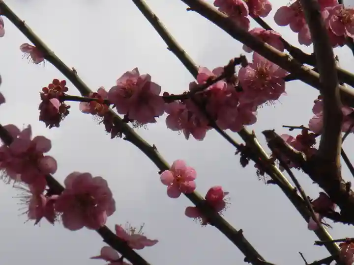 水火天満宮の自然