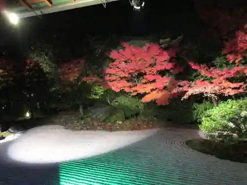 圓徳院のお祭り