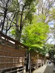 戸越八幡神社の建物その他