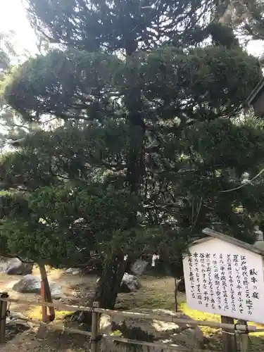 降松神社の御朱印