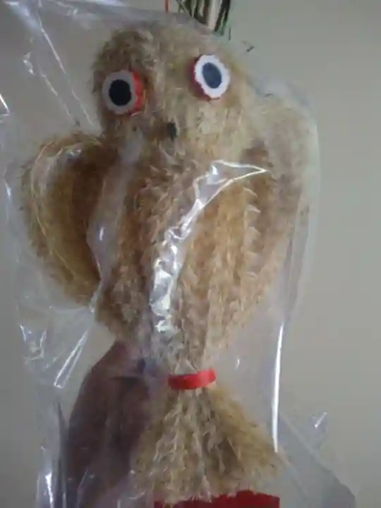 鬼子母神堂 (法明寺)(東京都)